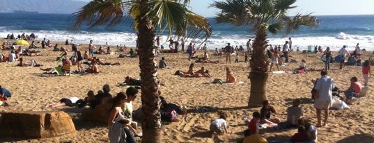 Sector 5 - Playa Reñaca is one of Playas Favoritas H_H.