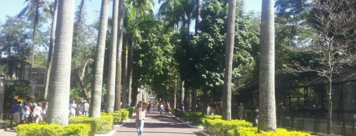 Jardim Zoológico do Rio de Janeiro is one of São Cristóvão.