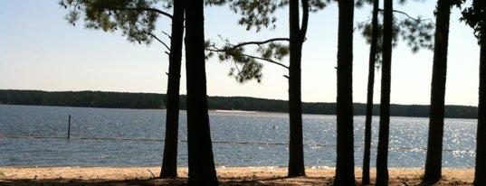 Jordan Lake State Recreation Area is one of North Carolina.