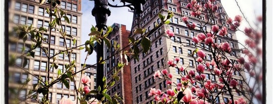 Union Square Park is one of Park Highlights of NYC.