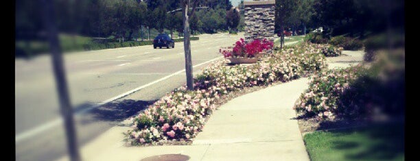 Santa Fe Hills is one of Terry’s Liked Places.