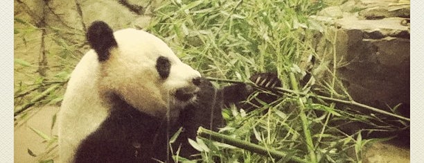 スミソニアン国立動物園 is one of Smithsonian Museums in Washington.