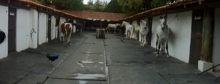 Ex Hacienda La Gavia is one of Orte, die Joaquin gefallen.