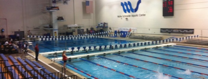 Schroeder Aquatic Center is one of Swimming.
