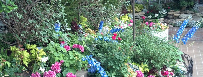 Krohn Conservatory is one of Cincinnati.