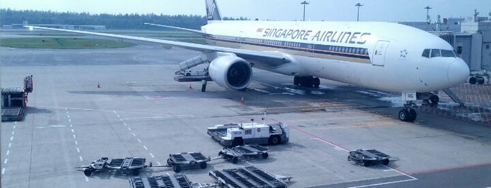 SQ172 SIN-SGN / Singapore Airlines is one of SQ Flights Departing SIN.