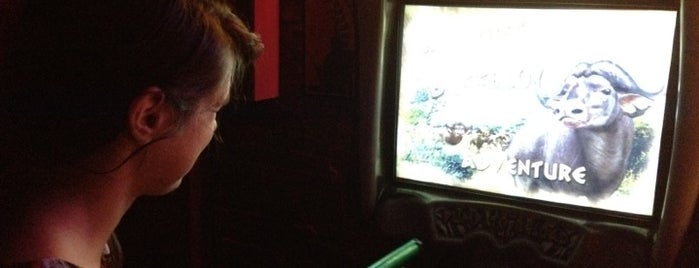 Ace Bar is one of Big Buck Hunter in NYC.