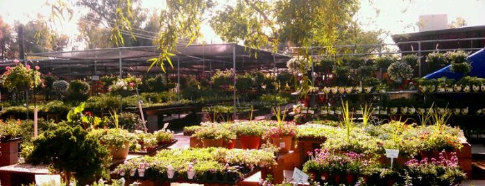 Baker's Nursery is one of All-time favorites in United States.
