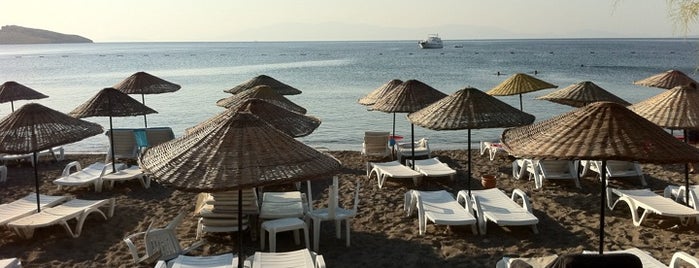 Yahşi Plajı is one of Tempat yang Disukai Aslı.