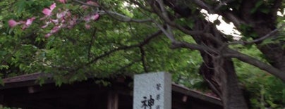 柴原公園 is one of 公園 in 豊中市.
