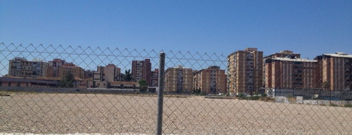 Cortefiel is one of Malaga.