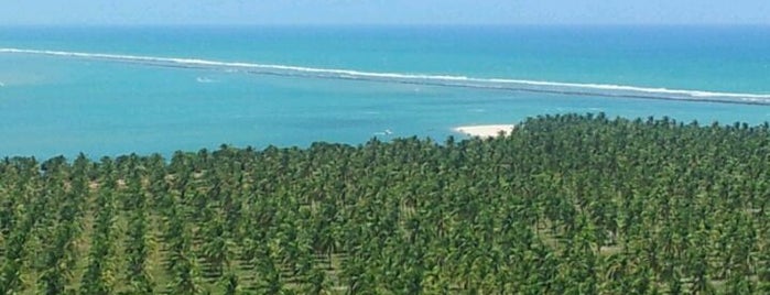 Mirante da Praia do Gunga is one of Praias Maceió.