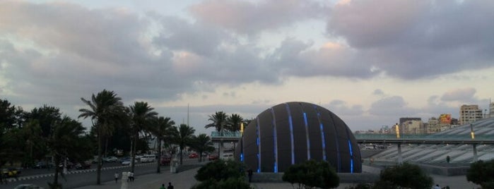 Bibliotheca Alexandrina is one of Best of Egypt in 14 days!.