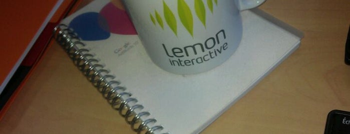 Lemon Interactive is one of North of France - web agency.