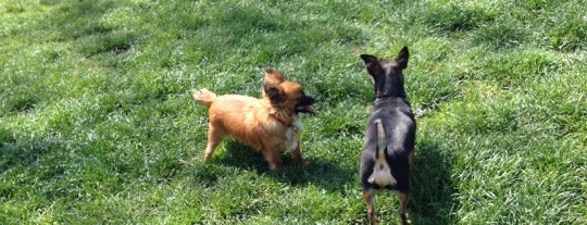 Sepulveda Basin Off-Leash Dog Park is one of FUN FROM ALL OVER.