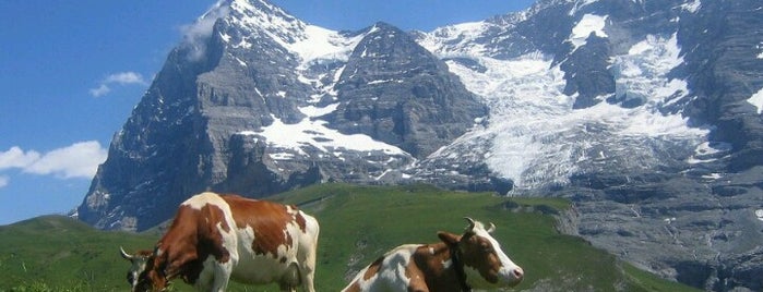 Wengen is one of اماكن زرتها.