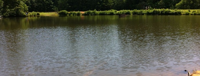 Reedy Creek Park is one of Locais curtidos por Greg.