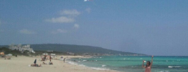 Platja de Mitjorn is one of Formentera.