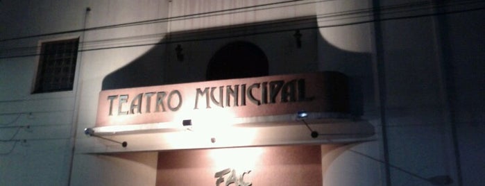 Teatro Municipal "Pe. Enzo Ticinelli" is one of Locais curtidos por Cassiano.