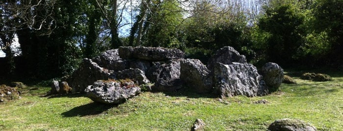 Lough Gur Wedge Tomb is one of Lieux qui ont plu à Aston.
