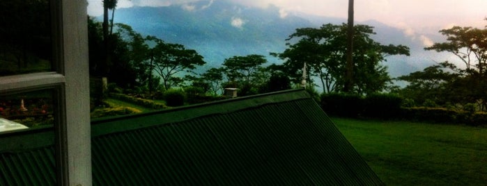 Tumsong Tea Estate is one of Urlaubskandidaten.