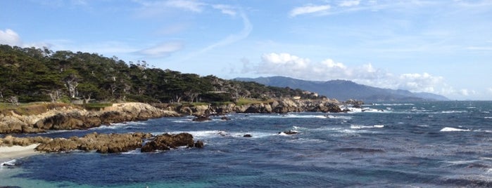 Cypress Point Lookout is one of Filming Locations: Vertigo.
