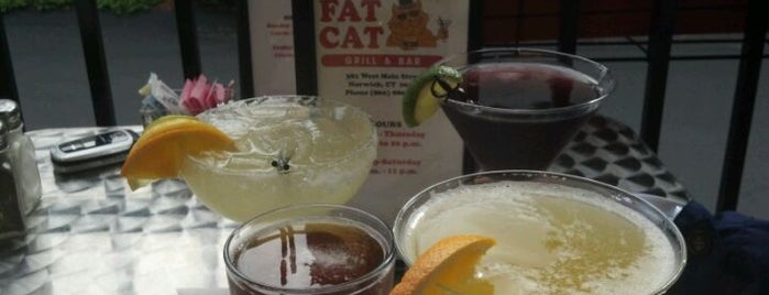 Fat Cat Grill & Bar is one of Places I've Been.