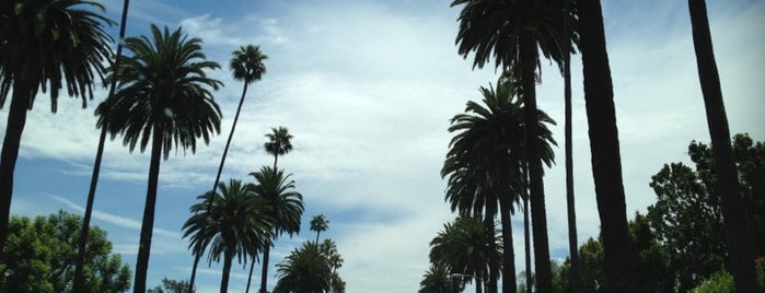 Rodeo Drive is one of Los Angeles Essentials.