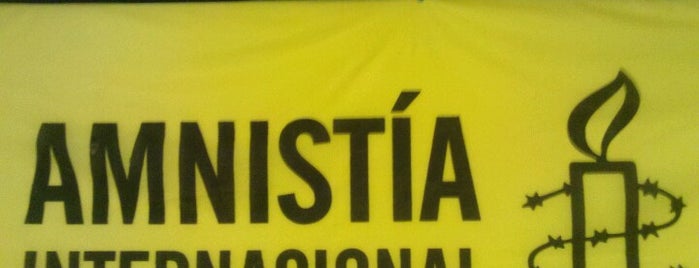 Amnistía Internacional Argentina is one of Organizaciones de la Sociedad Civil.