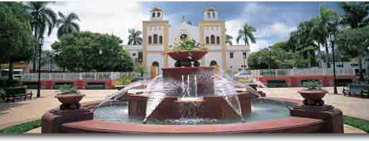 Municipio de Cidra is one of Towns in Puerto Rico.