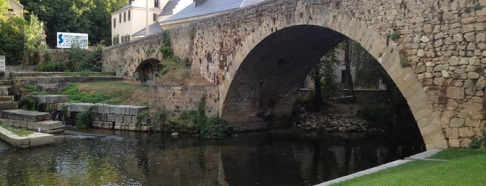 La Alameda Del Parral is one of Castilla y León.