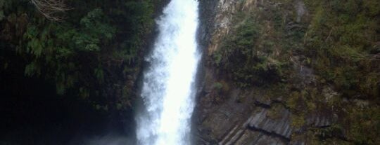Joren Falls is one of 日本の滝百選.