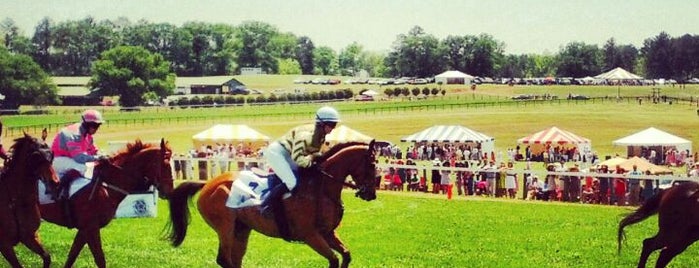 Atlanta Steeplechase is one of Robertさんのお気に入りスポット.