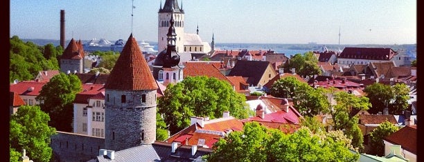 Смотровая платформа Паткули is one of Great Outdoors in Tallinn.