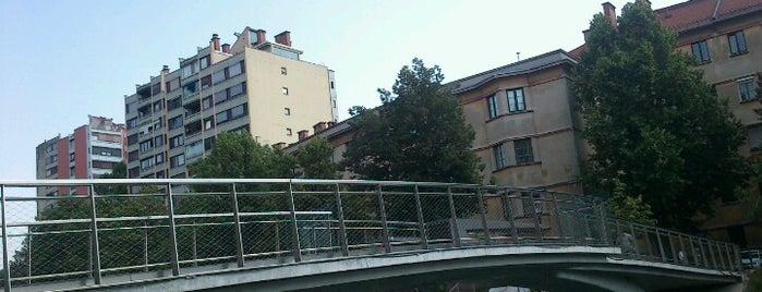 Žitni most / Grain Bridge is one of Slovenia 2013.