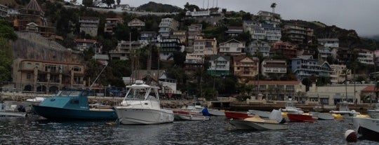 Santa Catalina Island is one of California Favorites.