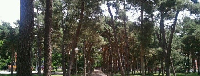 Parque del Temple is one of Ingrid 님이 좋아한 장소.