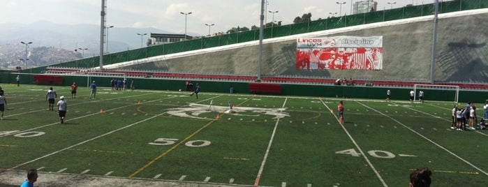 Estadio José Ortega Martínez is one of สถานที่ที่ René ถูกใจ.