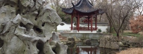 Missouri Botanical Garden Japanese Garden is one of STL.