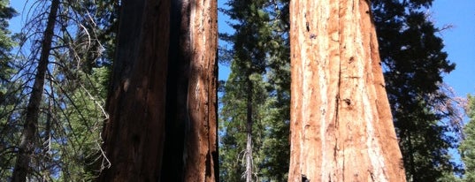 Kings Canyon National Park is one of California 2014.