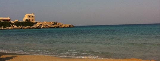 Sea Bird Beach is one of Varlik'in Beğendiği Mekanlar.