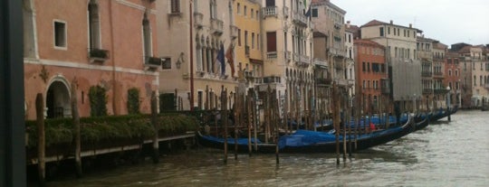 Cà d'Oro is one of Venezia.