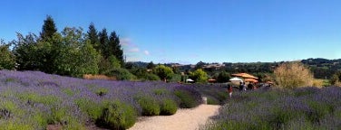 Matanzas Creek Winery is one of napa.