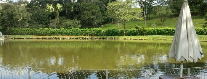 Peixada do Lago is one of Lugares favoritos de Sandra Gina Bozzeti.