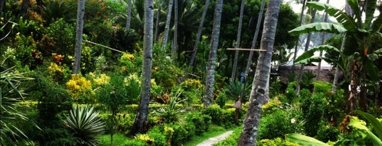 Coco Beach Island Resort is one of Locais curtidos por Bryan.
