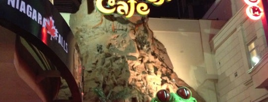Rainforest Cafe is one of Darwin'in Beğendiği Mekanlar.