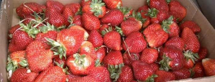 Hunt's Strawberries is one of MasterMilton4.