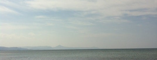 Playa Els Molins is one of Playas de la Comunidad Valenciana.