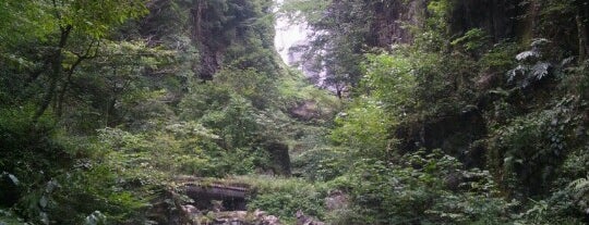 神庭の滝 is one of 日本の滝百選.