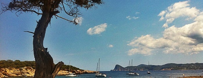 Cala Bassa Beach Club (CBbC) is one of Ibiza Essentials.